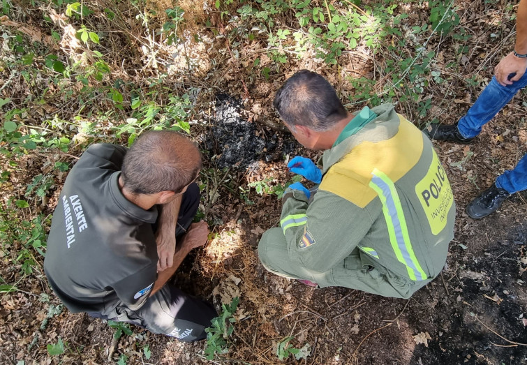 Sorprenden a una mujer con pastillas de encendido y un mechero en un monte de Amoeiro