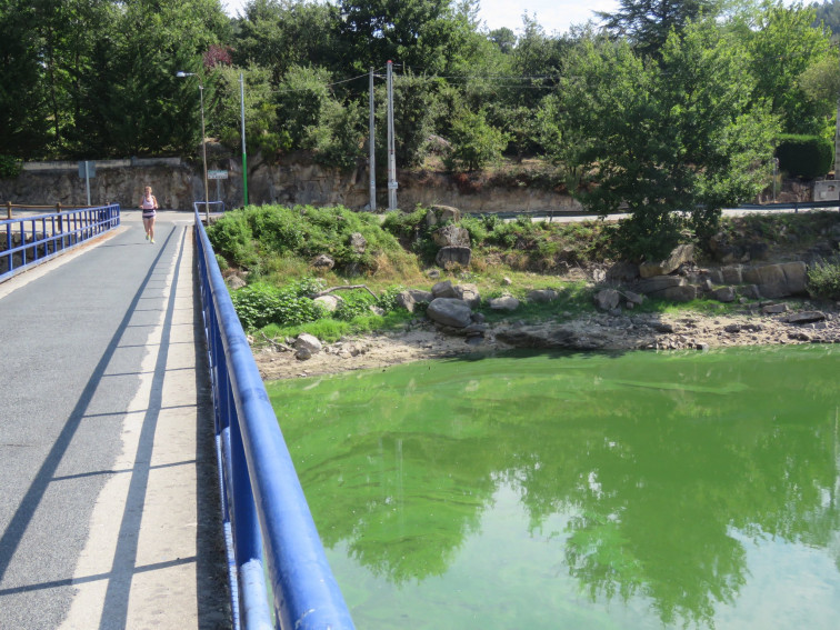 (VÍDEO) Las cianobacterias colonizan el embalse de Cachamuiña, poniendo en riesgo la biodiversidad de la zona