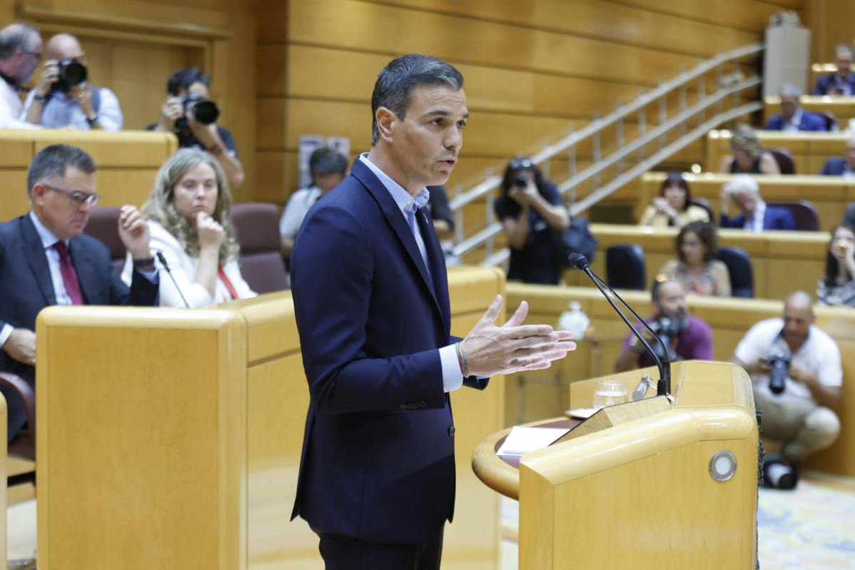 Pedro Su00e1nchez en el Senado