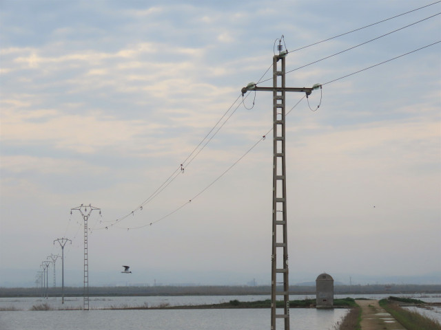 Récord de bajada del precio de la luz desde mayo