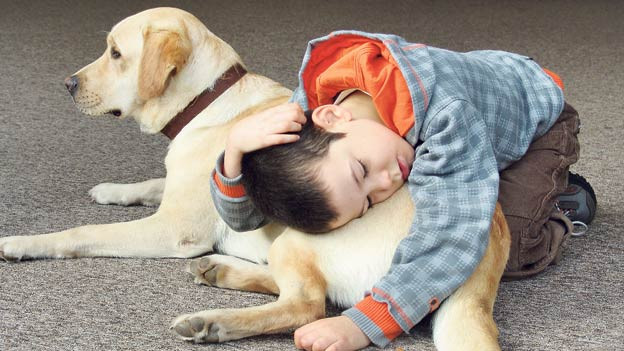 Galicia estrena una terapia pionera con animales en niños autistas