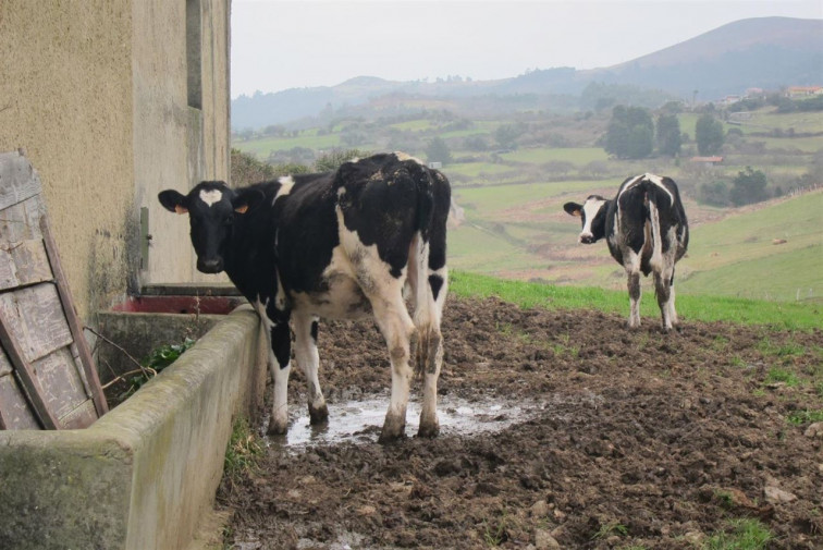 O vertedoido de Lousame ameaza a saúde e unha ducia de granxas