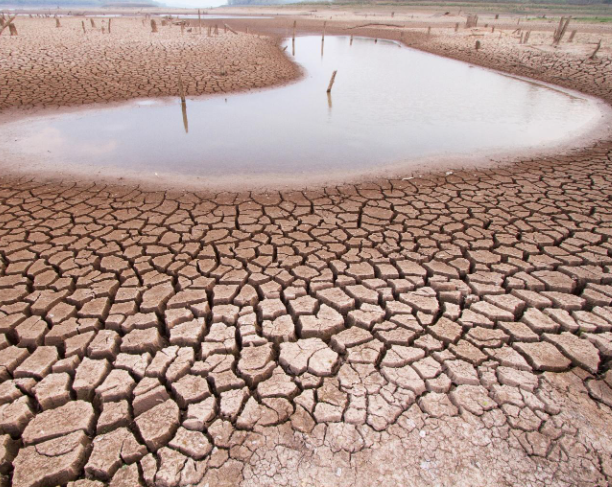 Alianzas y compromisos frente al cambio climático, claves para asegurar un futuro sostenible