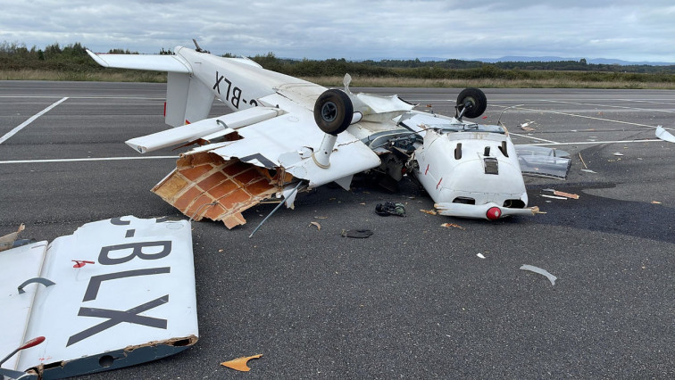 Una avispa velutina casi provocó una tragedia en el despegue de un avión en Lugo