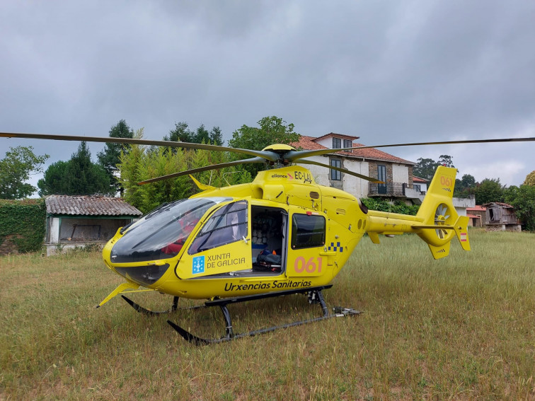 Trasladado en helicóptero un vecino de As Neves que sufrió picaduras de avispa velutina