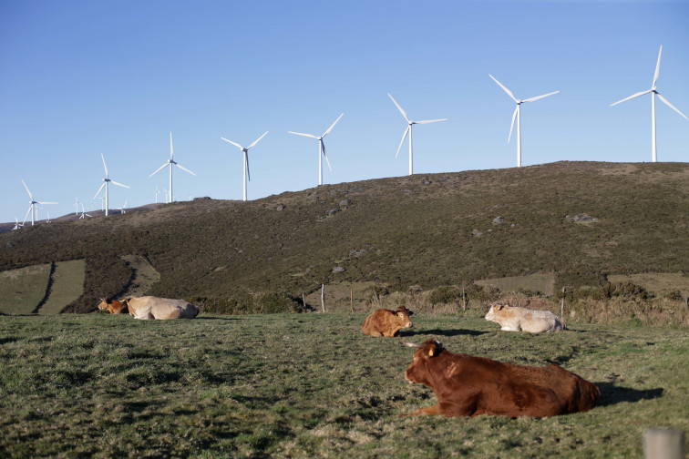 Ángeles Vázquez, conselleira de Medio Ambiente, pide 