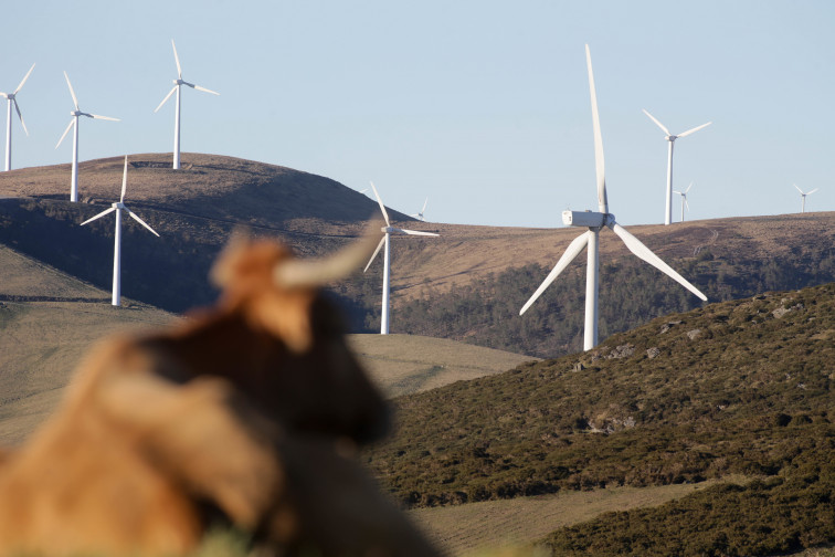 Convocadas manifestaciones en los montes gallegos el próximo 11 de diciembre contra la 