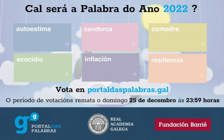 Escoge tu favorita para ser la Palabra do Ano 2022: 'Candorca', 'comadre', 'inflación', 'ecocidio'...