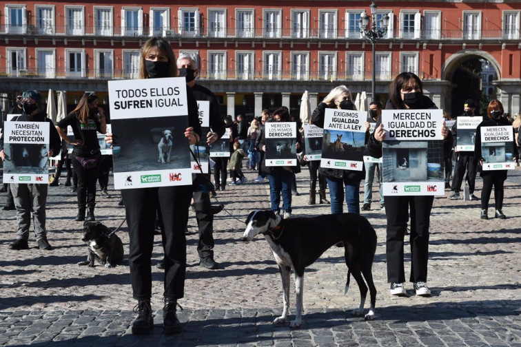 Vigo y A Coruña acogerán una manifestación contra la exclusión de los perros de caza de la ley de bienestar animal