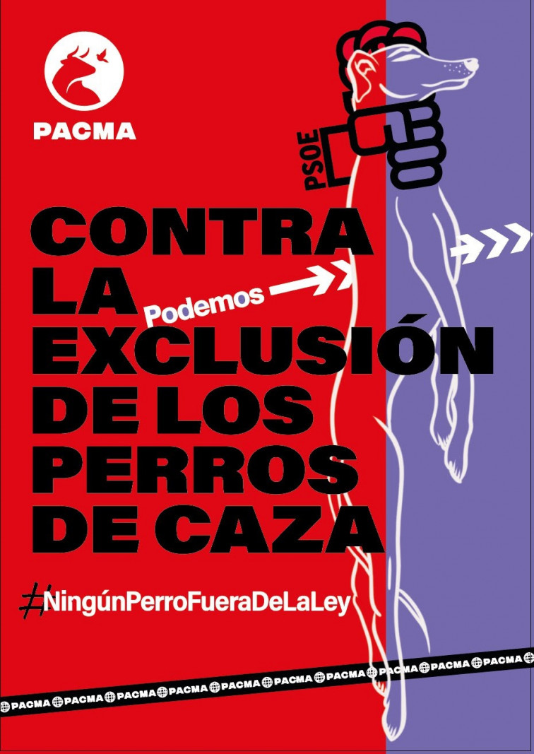 PACMA se concentra este domingo en 27 ciudades contra la exclusión de los perros de caza de la Ley de Bienestar Animal