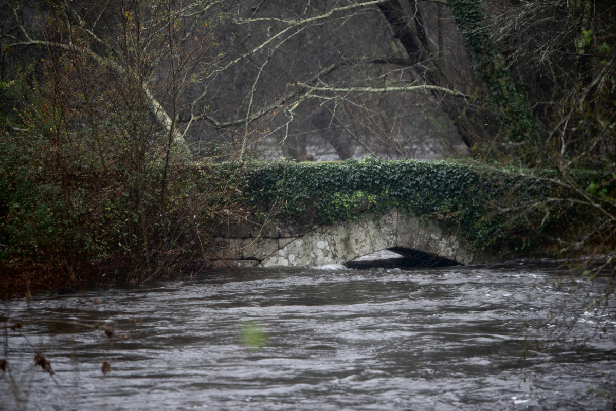 El río Lérez a su paso por Ponte Bora, a 16 de enero de 2023, en Pontevedra, Galicia (España).