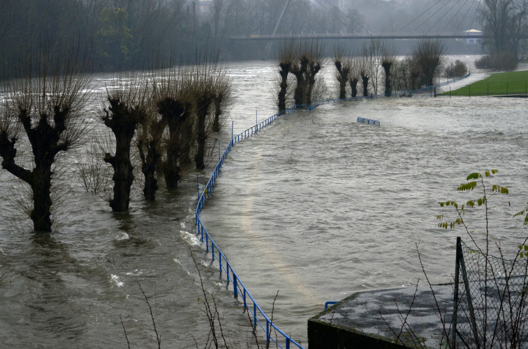 Riesgo alto por inundación en el caudal del Miño a su paso por A Peroxa y Os Peares