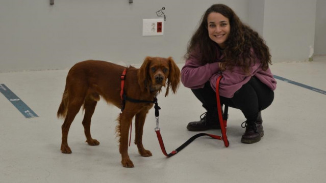 La investigadora veterinaria Susana Muñiz de Miguel y su perro 'Hacho'.