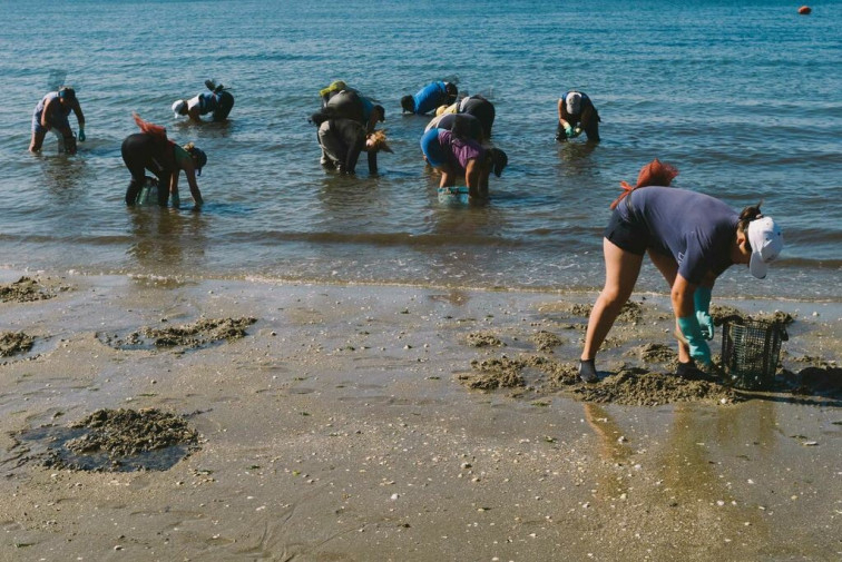 El sector marisquero gallego podrá optar a las ayudas del fondo europeo de pesca ante el coronavirus