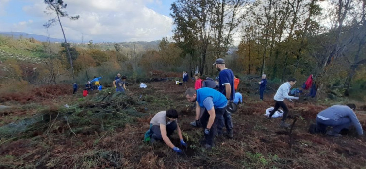 Las Brigadas Deseucaliptizadoras se van a la Serra do Xurés a combatir las acacias invasoras