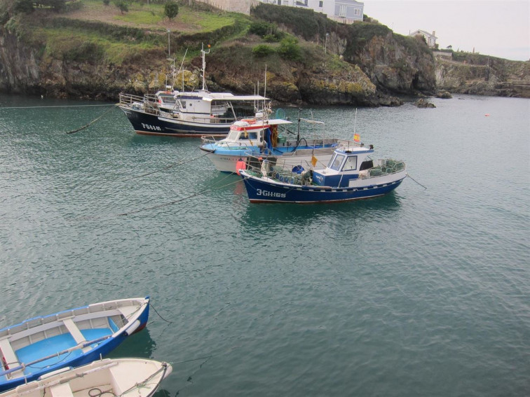 A Comisión de Pesca da UE só ten media hora para reunirse coas confrarías e co cerco