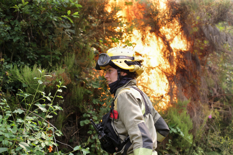 Una ínfima parte los incendios quema la mayoría del monte y cada vez habrá más por el cambio climático