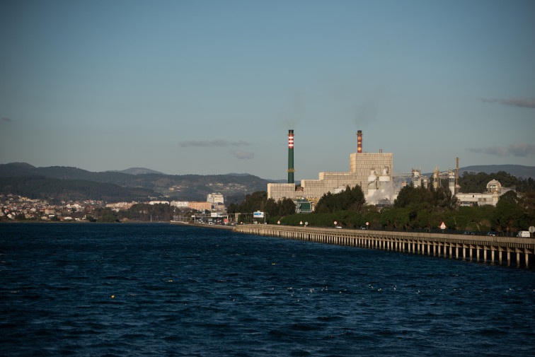 El futuro de Ence en Lourizán pasa a manos del Constitucional, ante el que recurre Greenpeace