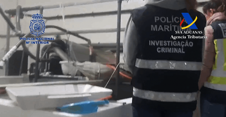 Contrabandistas de angulas pillados en una macropoeración policial en Pontevedra y Portugal