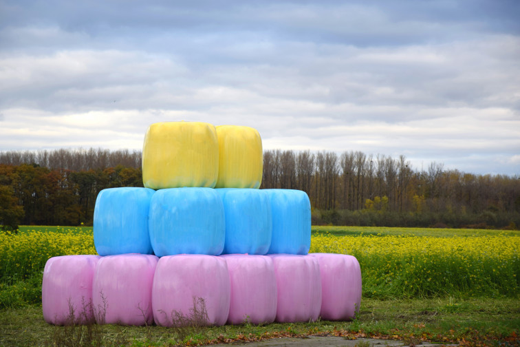 Trioworld fabrica films de ensilado de colores para luchar contra el cáncer