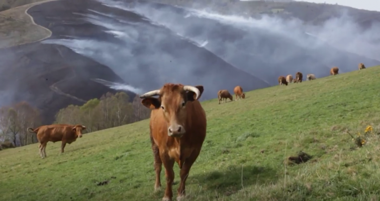 Extinguido el fuego de Baleira, que arrasó 1.400 hectáreas, 1.100 de monte raso