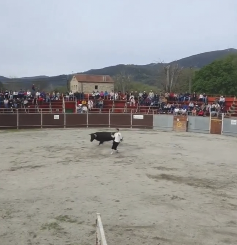 Antitaurinos celebran el 