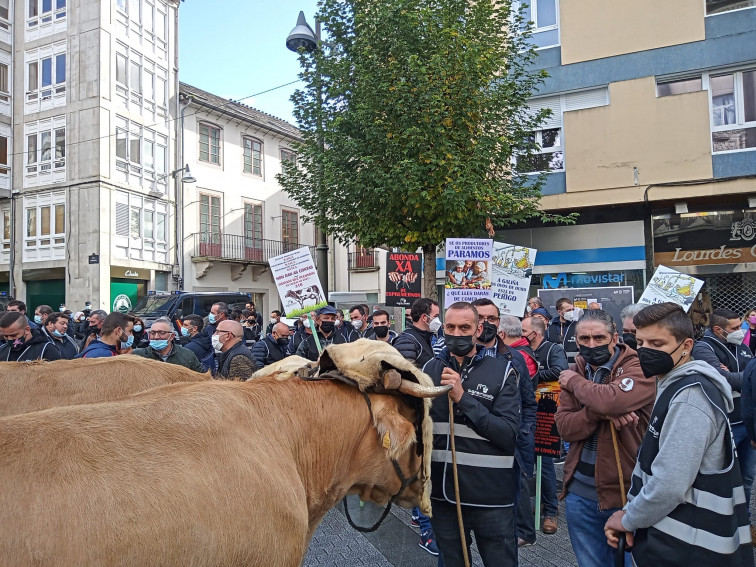 Un millar de ganaderos, 200 tractores y un puñado de vacas paralizan Lugo en las protestas contra la PAC