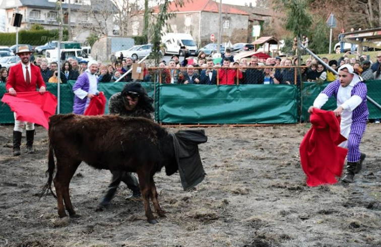 Animalistas piden dimisión del alcalde de Vila de Cruces tras abrirse proceso sancionador por capea de toros