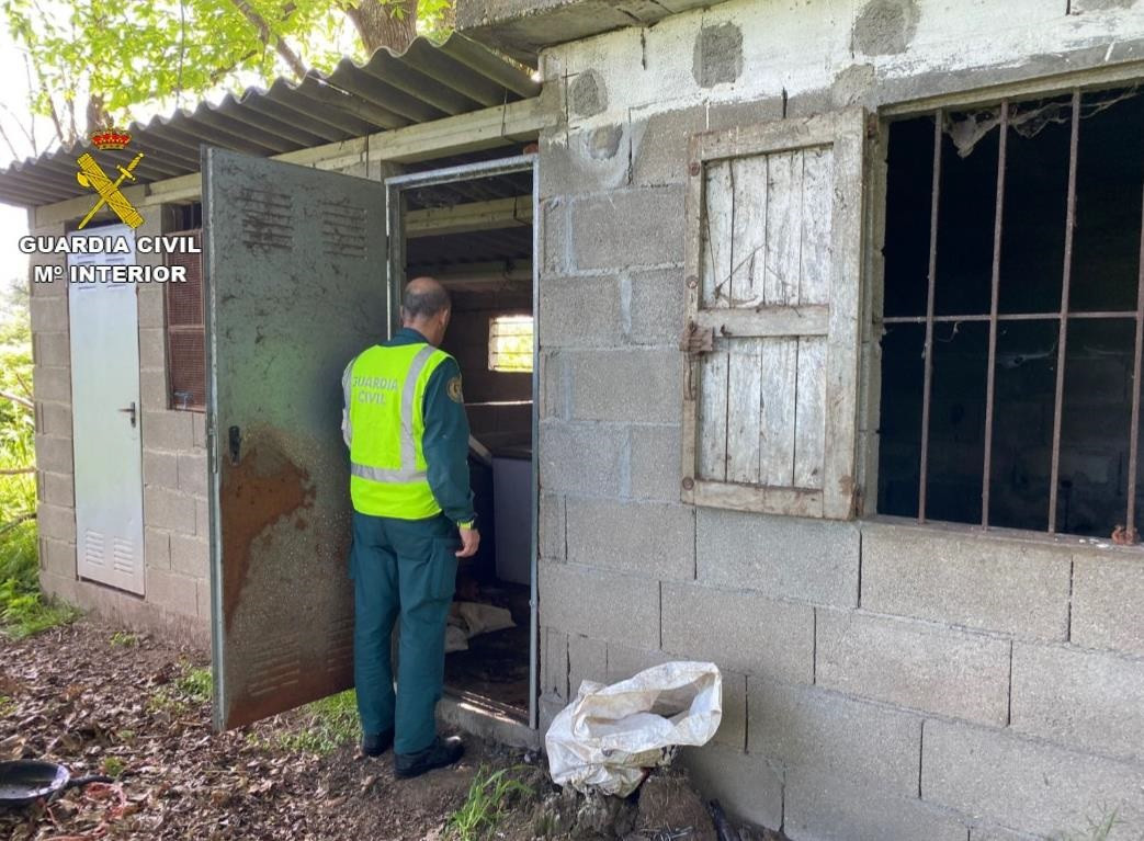 Cobertizo de Gondomar donde un hombre encerró cinco perros hasta que  murieron de hambre