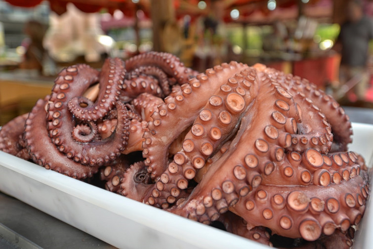 Este lunes arranca la temporada de extracción de pulpo en Galicia