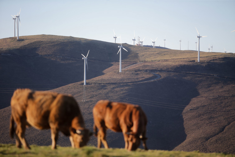 Empresarios eólicos acusan a ecologistas de causar emigración por sus recursos contra los parques