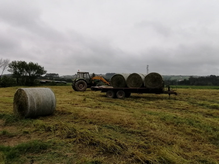 Medio Rural amplía el plazo de presentación de la solicitud única de las ayudas de la PAC