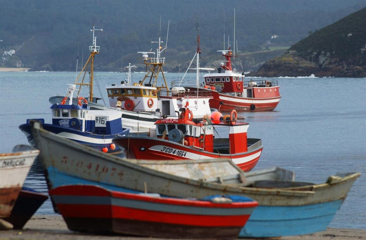 Unha cesión do País vasco permite retomar ​a pesca accidental de caballa para artes menores