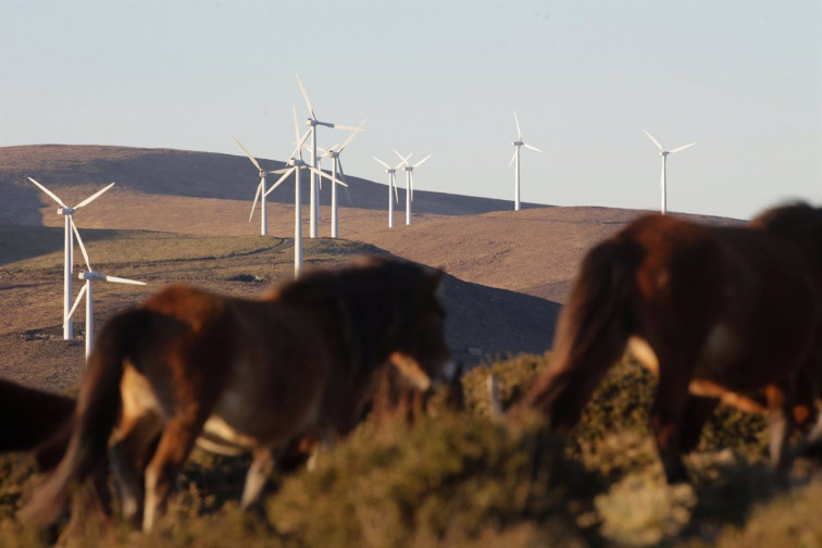 Más del 80% de los gallegos considera prioritario abordar el cambio climático