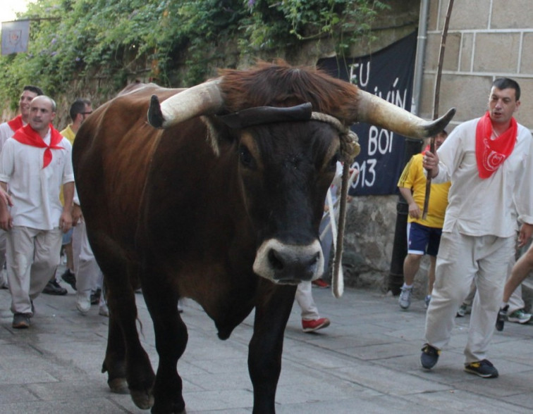 Celebraciones, espectáculos y cosas que hacer este fin de semana en Galicia