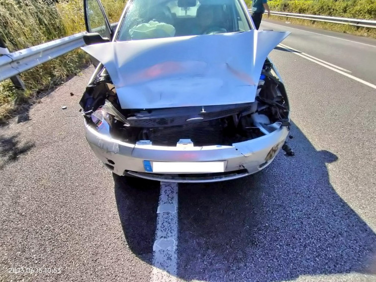 Dos perros sueltos en la carretera provocan un accidente entre dos coches en Cambados