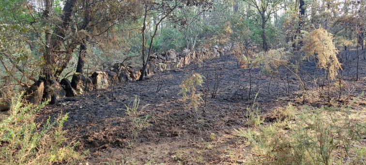 Un estudio aborda la relación entre los indendios forestales y el cambio climático