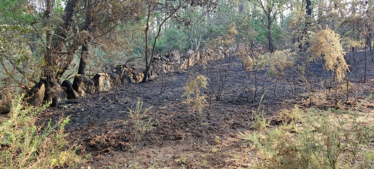 Incendio provocado en Seixalbo, Ourense