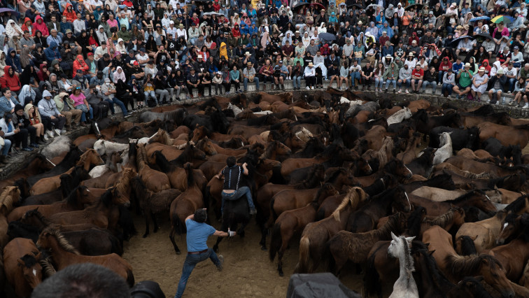 La Rapa das Bestas de Sabucedo cuelga el 'No hay billetes' para el primer curro