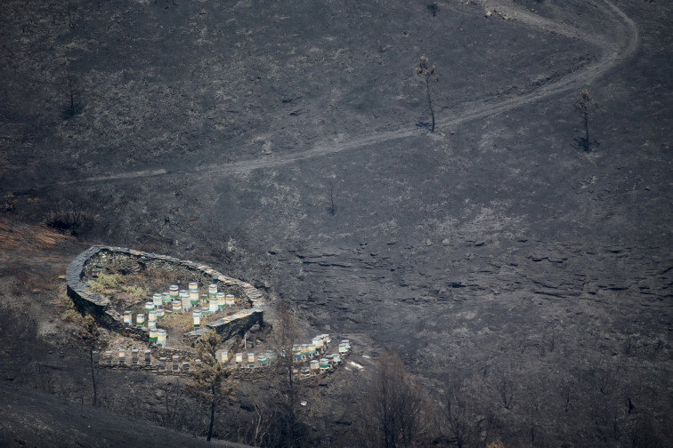 Un año de los mayores fuegos de Galicia: caminos y casas destrozados, turbidez del agua y reordenación pendiente