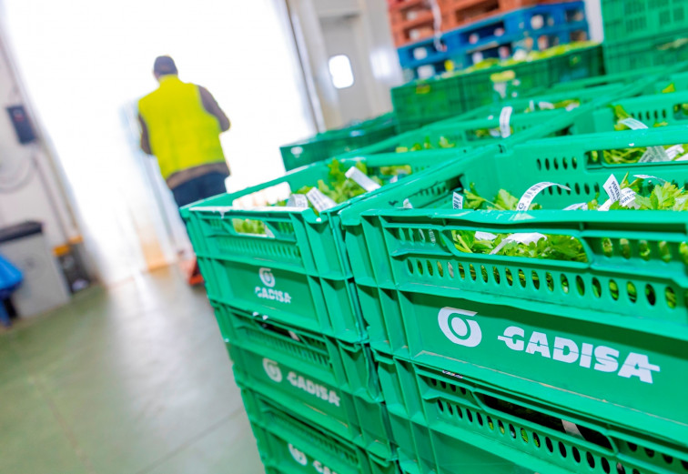 Mercadona, Gadis y Froiz, entre los supermercados más baratos en Ourense y Pontevedra