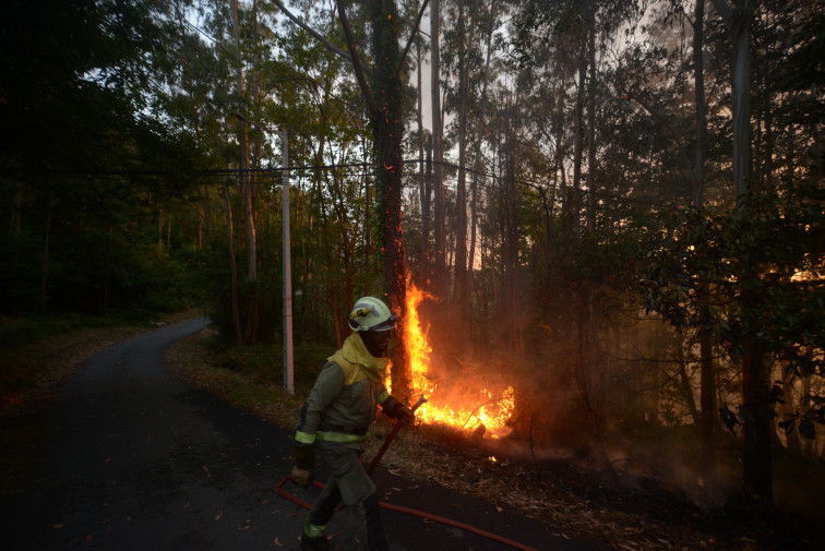 Estabilizado el incendio de Arteixo tras arrasar 20 hectáreas de terreno