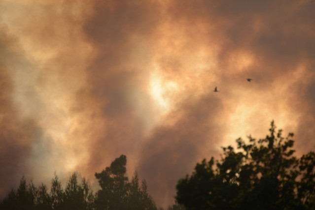 Humo provocado por un incendio forestal en la parroquia de Belesar, a 6 de agosto de 2023, en Vilalba, Lugo, Galicia (España). Varios medios de extinción, terrestres y aéreos, fueron movilizados en la noche del domingo 6 de agosto a este lunes 7 por un in
