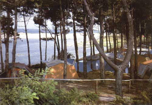 Cuatro heridos al caer un árbol en una zona de camping de las islas Cíes