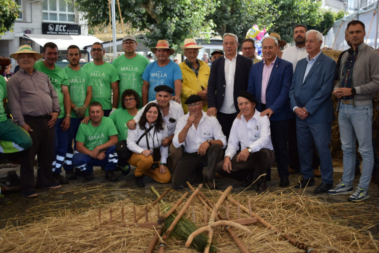 Multitudinaria asistencia a la Festa da Malla en Meira, evento para mantener vivo el rural y las tradiciones