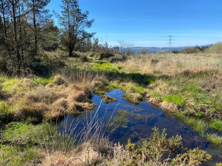 La amenaza del Parque Eólico de Banzas de Green Capital Power sobre los humedales llega hasta la Justicia