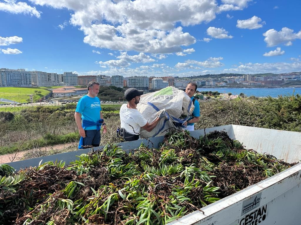 Voluntarios en el entorno de la Torre de Hércules, en A Coruña