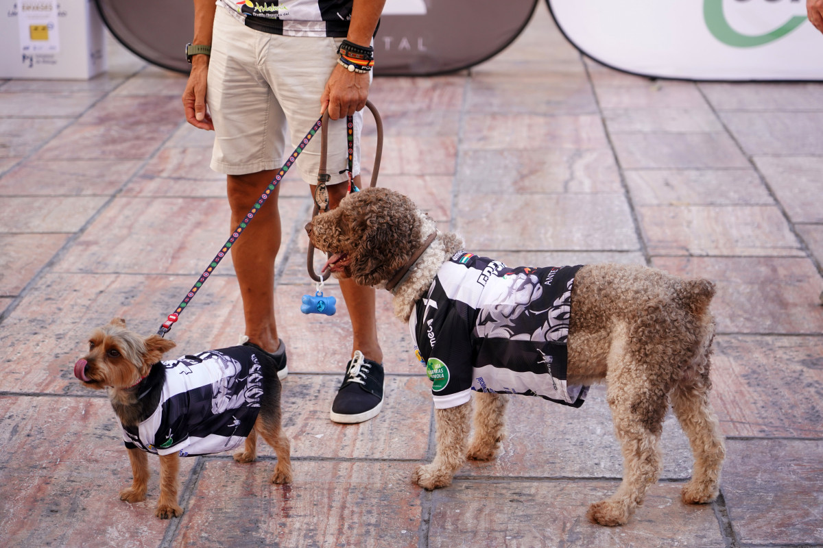 Varias personas pasean sus mascotas por las calles de la capital, donde el próximo viernes entrerá en vigor La Ley de Protección y Bienestar Animal en España, que es más restrictiva que la anteri