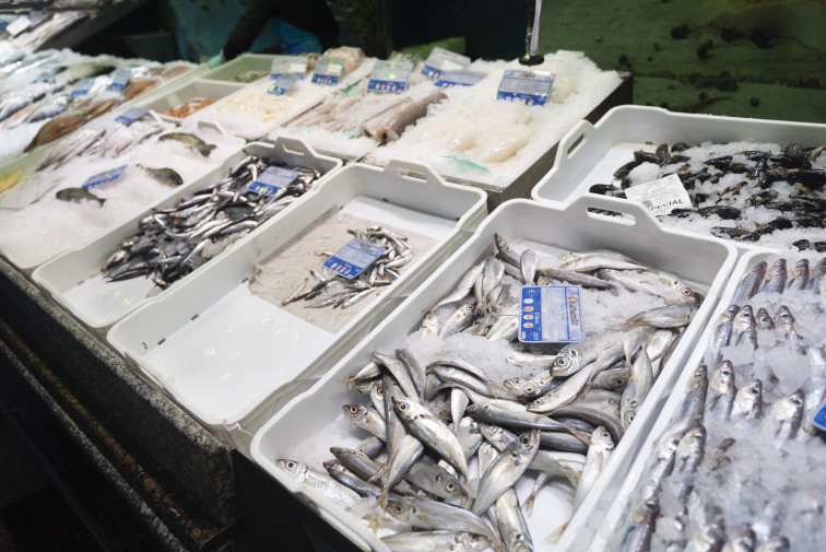 Eliminar el IVA de los pescados aumentaría su consumo en 100 millones de kilos, estima Fedepesca