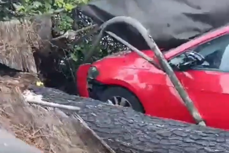 Bombero de Vigo en la UCI tras ser herido por un árbol al atender una emergencia